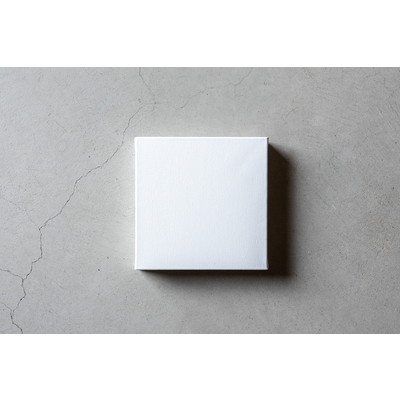 キャンバス　s20（※プリント代 110円）